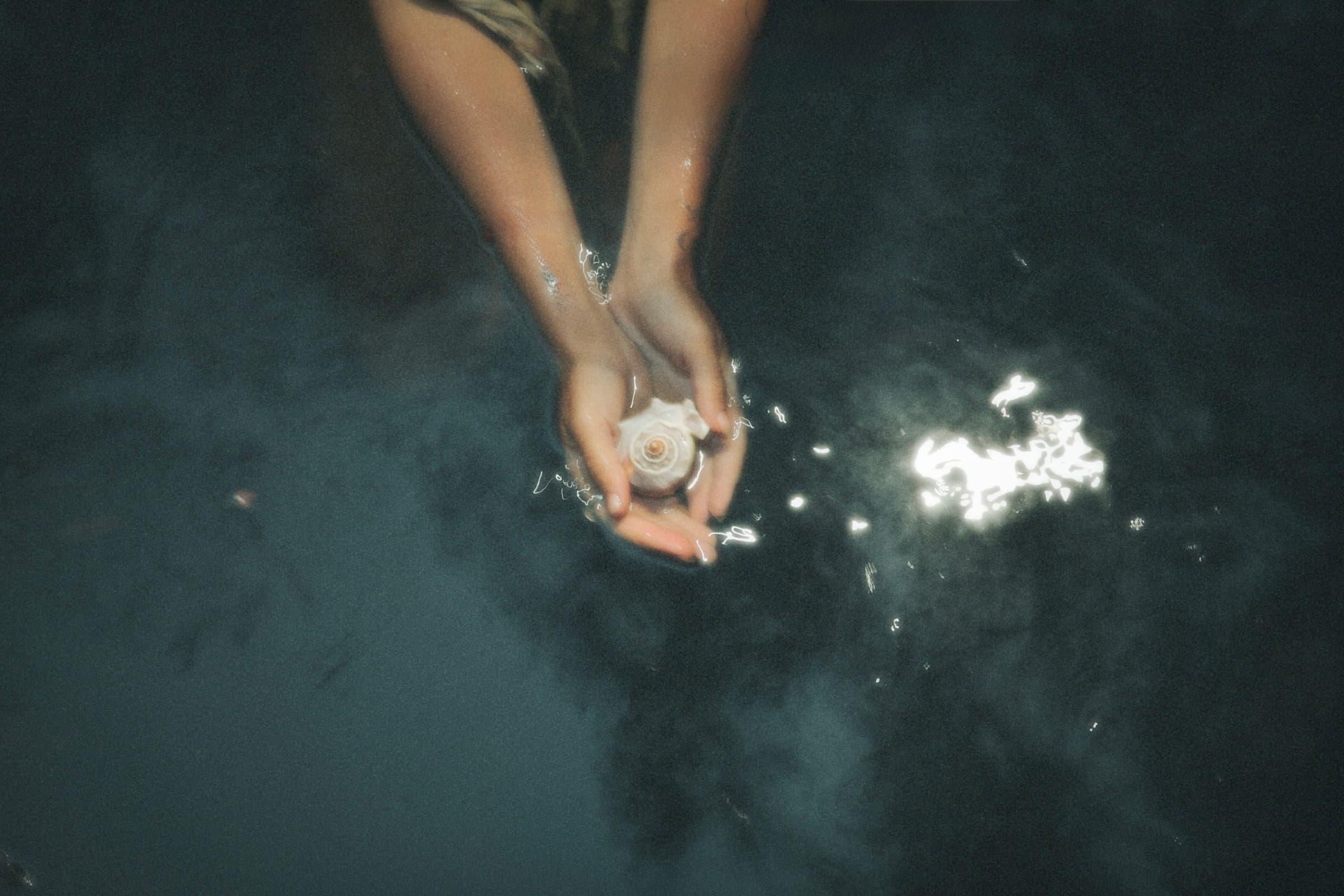two hands cupping a pale shell just above dark water