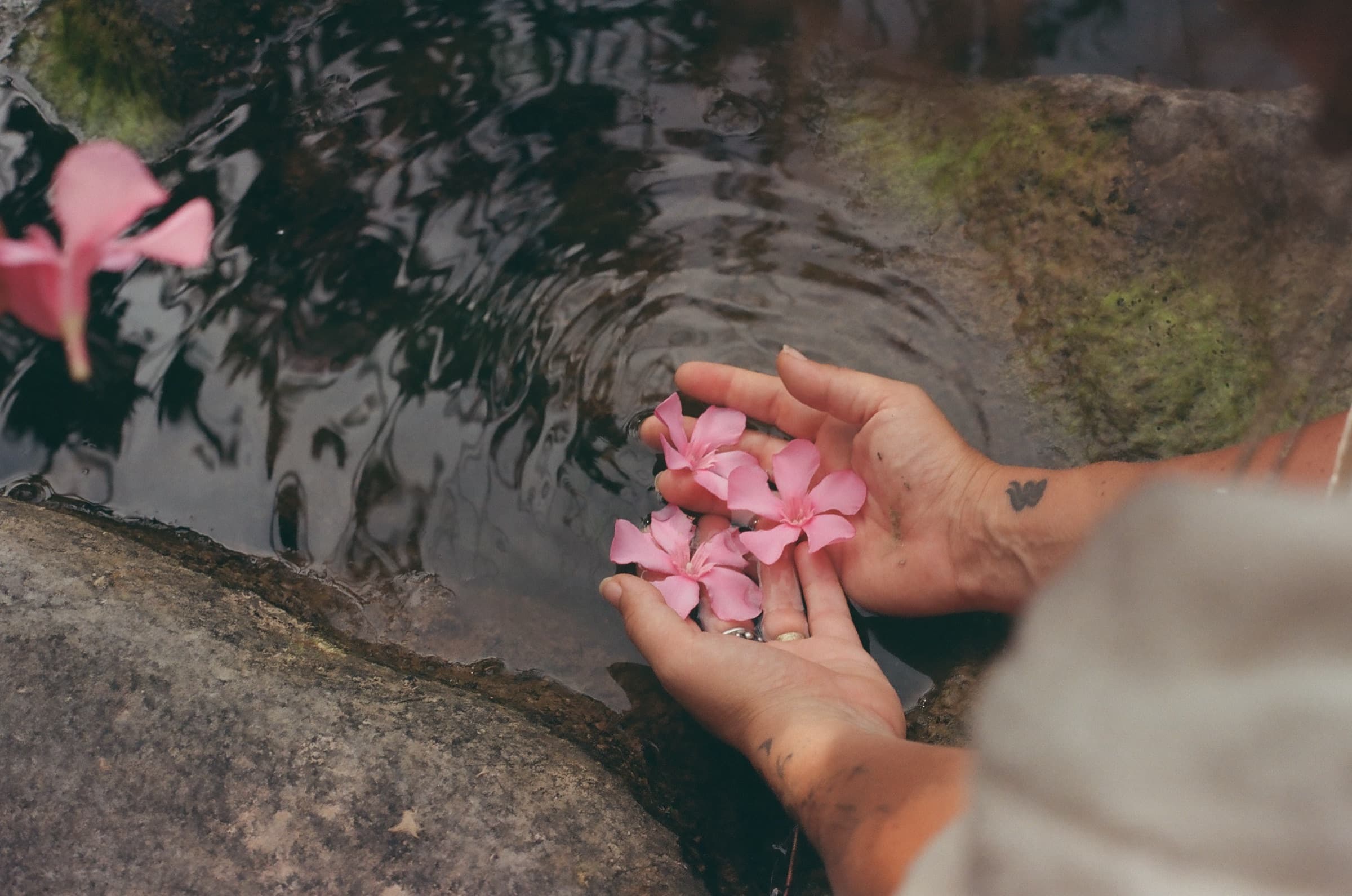 two hands holding pink flowers over a dark stream